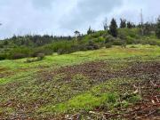 Parcela 5.000 m² con terraza y doble acceso en Canto del...