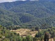 PARCELA 5.000 M² SAN JUAN DE LA COSTA, OSORNO Cód. 162