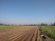 Parcela 5,2 has Agro Industrial