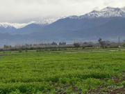 Parcela 5000 Valle de Aconcagua, San Esteban centro, Los...