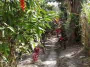 Parcela 82 San Vicente, Vereda Tolú de La Mesa Cundinamarca