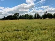 Parcela a tan solo 13 minutos de Villarrica