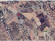 PARCELA AGRARIA CON BALSA CERCANO A AEROPUERTO ALICANTE...