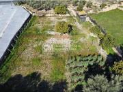 Parcela agrícola con cortijo en Dalías