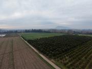 Parcela Agrícola Paine