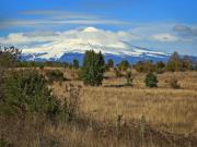 Se vende PARCELA 5.000 m2 AL ARRAYAN Pedregoso,...