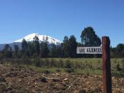 PARCELA, ALERCES DE LAUCA, PUERTO MONTT