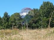 Parcela Alto Molco Villarrica Pucón