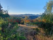 Parcela app 5.000m2 en Casablanca con preciosa vista...