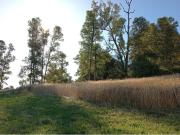 PARCELA CON ACCESO A RIO Y PARCELA DE USO COMUN