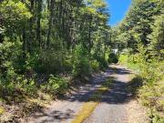 Parcela Con Bosque Nativo Camino al Volcán