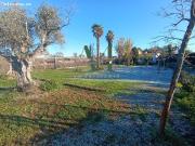 Parcela con casa pequeña y nave en la carretera de...