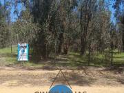 Parcela con casa tipo cabaña en Foresta de Zapallar Parcela con casa tipo cabaña en Foresta de Zapallar