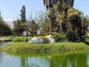 Parcela Con Casas Y Laguna Artificial En Curacaví