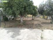 PARCELA CON DOS CASAS Y PISCINA