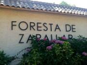 Parcela excelente ubicación en Foresta de Zapallar