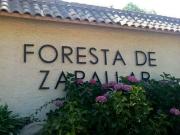 Parcela con excelente ubicación en Foresta de Zapallar,...