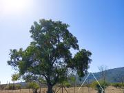 Parcela con maravillosa vista y con un gran precio en...