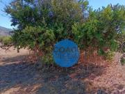 Parcela con precio oferta en Foresta de Zapallar