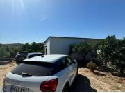 Parcela con producción de aguacate