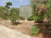 Parcela con Proyecto Aprobado y Licencia en Pinosol,...