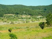 Parcela con proyecto en San Mateo m² Sant Mateu...