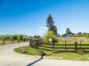 PARCELA CONDOMINIO EN SECTOR MOLINO VIEJO EN PUERTO VARAS PARCELA CONDOMINIO EN SECTOR MOLINO VIEJO EN PUERTO VARAS