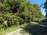 PARCELA CONDOMINIO LAGUNITAS