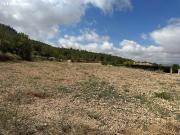 Parcela de 11000 metros