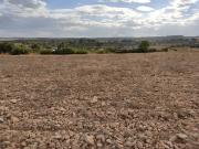 PARCELA DE 15.000 M2 EN PARAJE DE LOS ESPETONES....