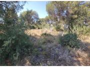 PARCELA DE 1638 METROS EN ENTORNO NATURAL Y URBANO