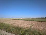 PARCELA DE 22.400 M2 EN PARAJE EL RUBIAL