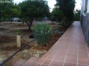 Parcela de 2.500 m2 con Chalet y apartamento