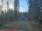 Parcela de 2,5 hectáreas. Comuna de Pitrufquen Araucanía