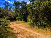 Parcela de 2 hectáreas Naturaleza y Cercanía Parcela de 2 hectáreas Naturaleza y Cercanía