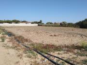 PARCELA DE 3.000M2 EN RÉGIMEN INDIVISO EN PAGO DE HUMO