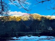 Parcela de 5,000 m2 en Curarrehue, Pucón