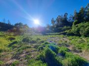 Parcela de 5.11 ha con proyección habitacional y turística