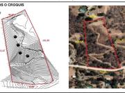 Parcela de 8.264 MT2 en condomio Los Naranjos