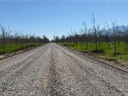 Parcela de agrado 5000 mts sin comisión