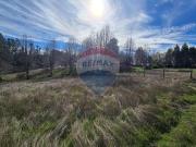 Parcela de agrado en Gorbea: Naturaleza y confort