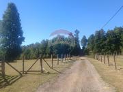 Parcela de agrado Venta Villarrica Araucanía