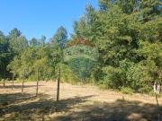 Parcela de agrado Venta Villarrica Araucanía