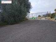 PARCELA DE DOS HANEGADAS EN PARTIDA LA COVA, VALL D'UIXO