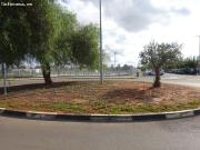 PARCELA DE HUERTO EN ZONA URBANA INDUSTRIAL DE 7.800 M2,...