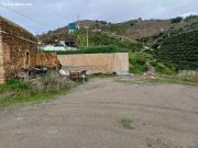 Parcela de mangos con sistas al mar en algarrobo