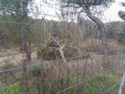 PARCELA DE TERRENO URBANO