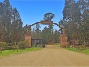 Parcela ecológica HACIENDA DOÑA IGNACIA 10.000 m2