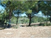 Parcela edificable en Calafat