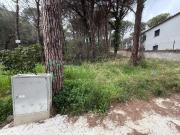 PARCELA EDIFICABLE EN MAS PERE